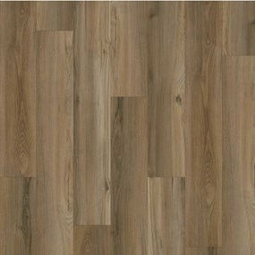 Porter Hickory